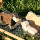 Oveja - animal de granja de madera