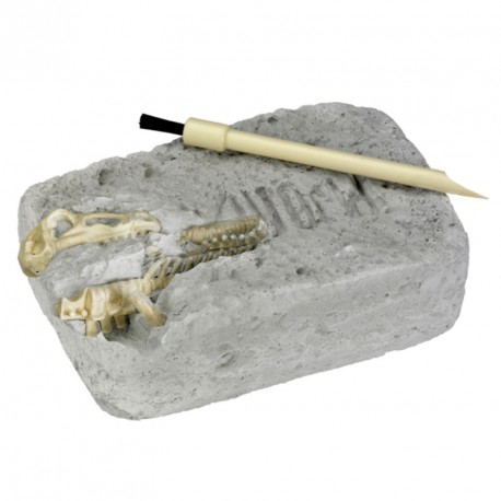 Kit d'excavació arqueològica Triceratops - T-Rex World