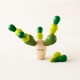 PlanMini - Cactus en Equilibrio