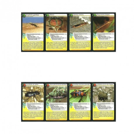Desafíos de la Naturaleza: Insectos - juego de cartas para 2-6 jugadores