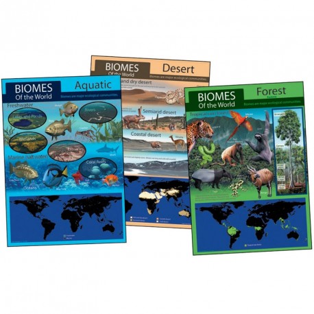 Conjunto de tablones sobre los diferentes hábitats de animales