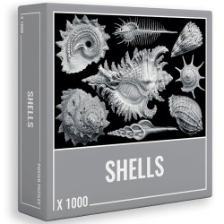 Shells Puzzle - 1000 pzas.