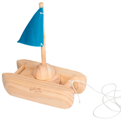 Kit fes el teu catamarà de fusta - Nature Zoom