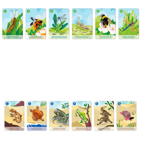 Color Battle - joc de rapidesa visual amb cartes per a 2-6 jugadors