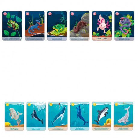 Color Battle - joc de rapidesa visual amb cartes per a 2-6 jugadors