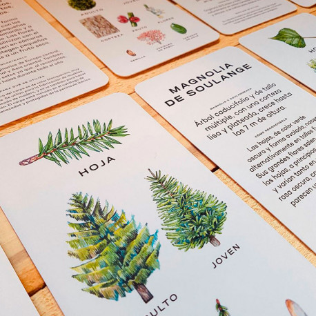 Avista el Árbol - Juego de memoria ilustrado a la acuarela (castellano)
