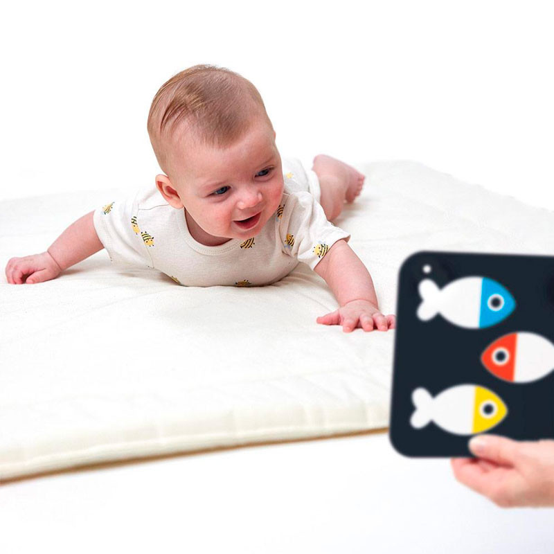Baby Cards (Step 1) - targetes d'alt contrast per a bebès