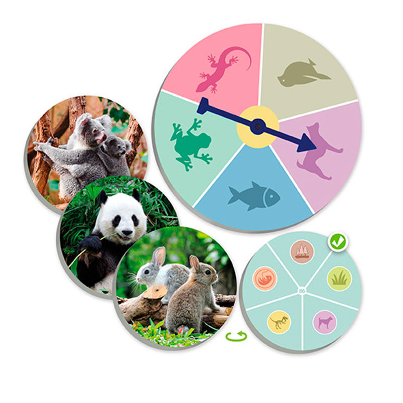 El món Animal: Descobreix i classifica - joc d'associació