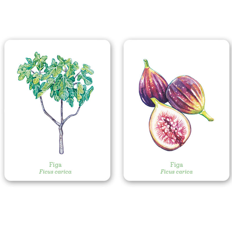 Una Planta, Un Fruit - Juego de memoria ilustrado (Catalán)