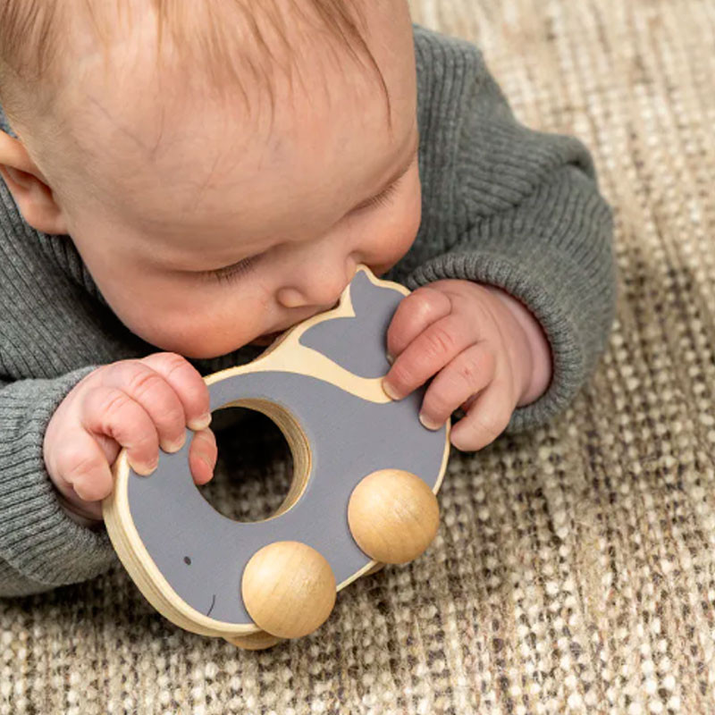 Caja Regalo Juega y Aprende - 5 juguetes de madera para bebés 6-12 meses