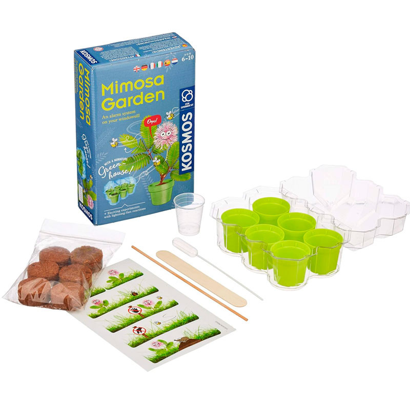 Mimosa Garden: Kit Cultivo Mimosas - set de experimentación STEM