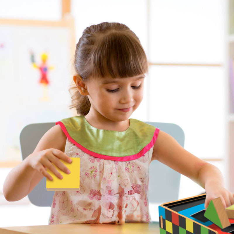 Sensory Lab Montessori - Encaje y clasificador de formas geométricas de madera