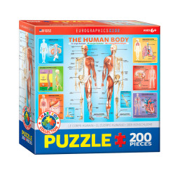 Puzzle Eurographics Kids 200 piezas - El Cuerpo Humano (inglés)