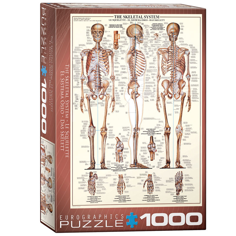 Puzzle Eurographics 1000 piezas - El Sistema Óseo