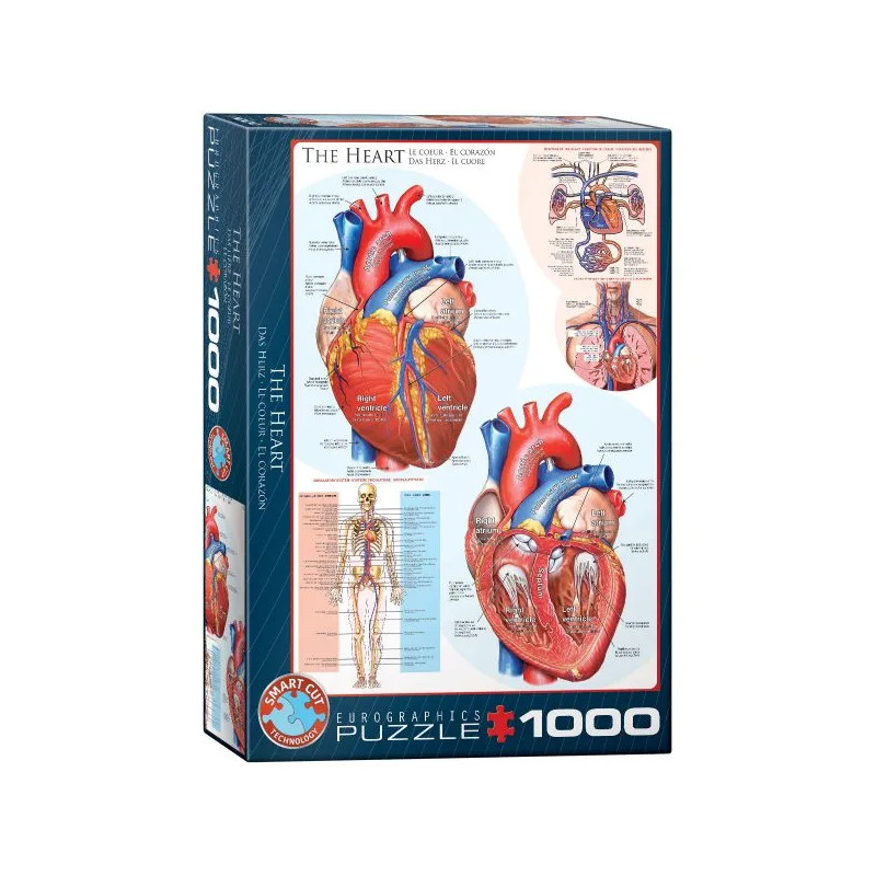 Puzzle El Corazón - 1000 piezas educativas de anatomía