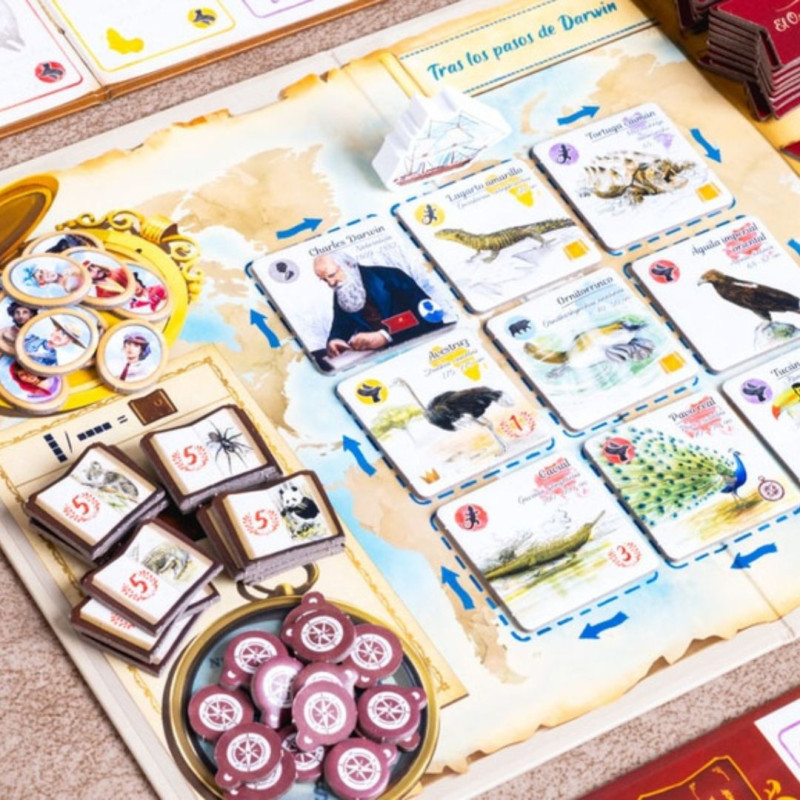 juego educativo 8 años