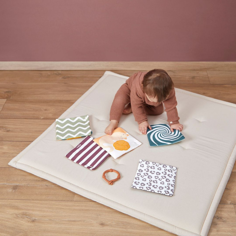 Les Meves Cartes de Despertar Sensorial amb mossegador desmuntable