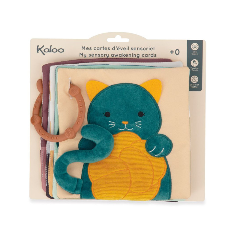 Les Meves Cartes de Despertar Sensorial amb mossegador desmuntable