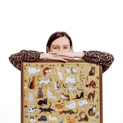 Puzzle Gatos 500 piezas