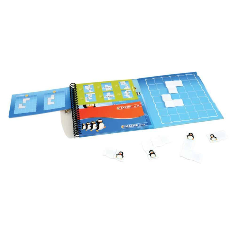 Juego Magnético de Ingenio para +5 Años