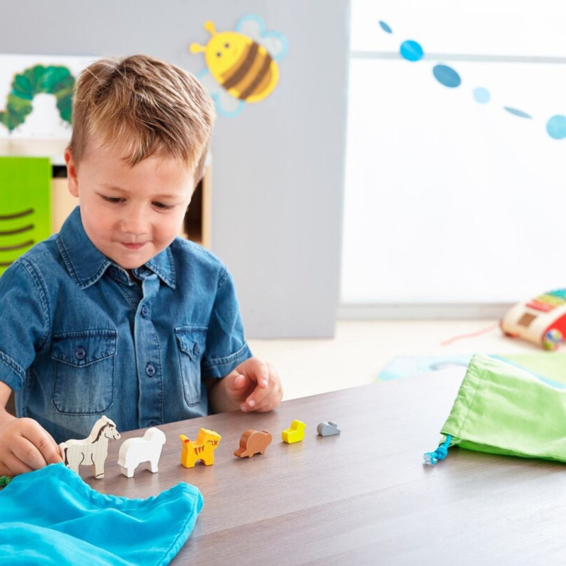 Joc educatiu sobre classificació i algoritmes