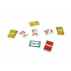 joc desigualtats HurriCount