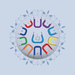 Tambor metálico circular de 25cm con 11 lengüetas de colores brillantes y un diseño floral suave al fondo.