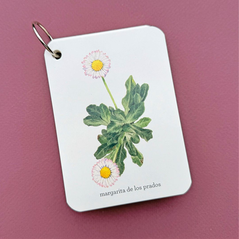 Tarjeta blanca rectangular con anilla de metal, muestra una ilustración de flores silvestres sobre un fondo color malva.