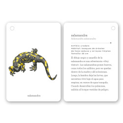 Guía de bolsillo con tarjetas blancas de bordes redondeados e ilustración de una salamandra negra con manchas amarillas.