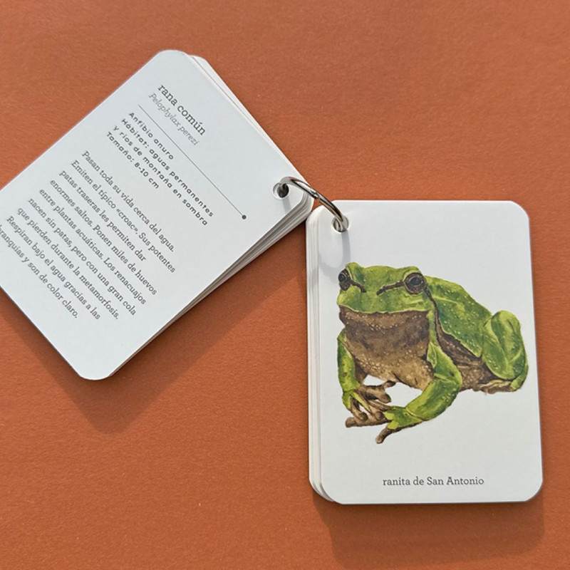 Guía de campo con tarjetas blancas de bordes redondeados unidas por una anilla metálica e ilustración de una rana verde.