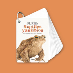 Guía de bolsillo con anilla metálica y fichas blancas. La portada muestra un sapo marrón y el título en color naranja.