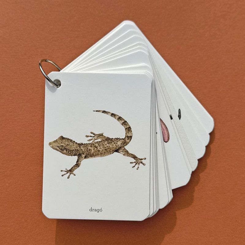 Guía de bolsillo con fichas blancas de bordes redondeados unidas por una anilla, con la ilustración de una salamanquesa.