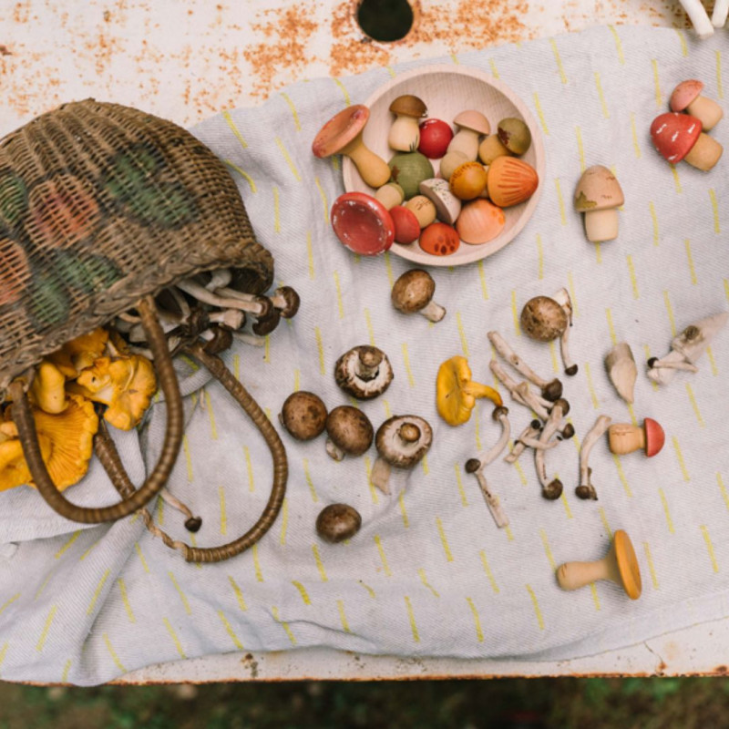 Set de Bolets de Fusta Mushroom Grove de Grapat