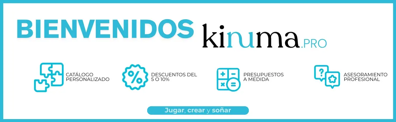 Access Kinuma B2B